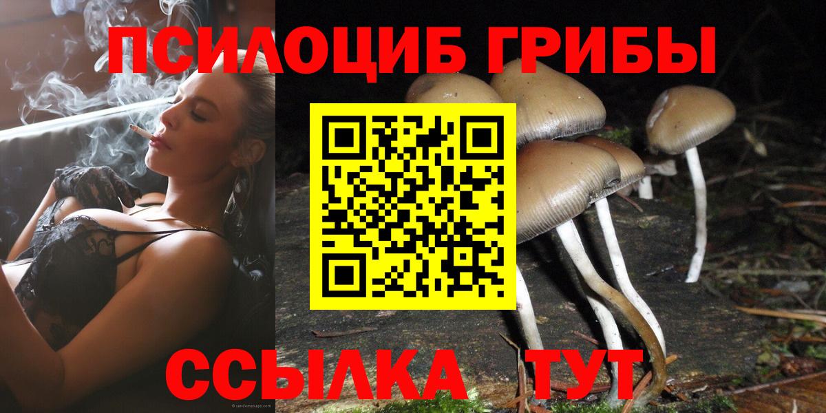 Железногорск  Галлюциногенные грибы Psilocybine cubensis  Вход с VPN 
